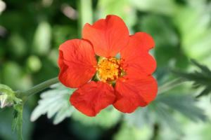 Resize of 20100505_9999_10