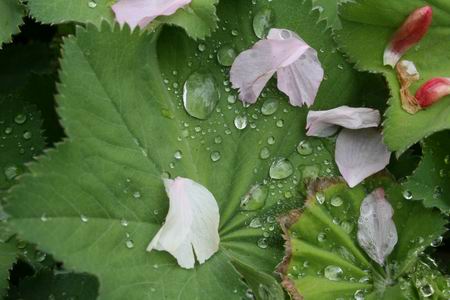 Resize of 20100509_9999