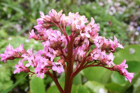 Resize of 20100509_9999_6