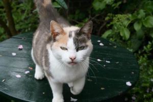 Resize of 20100509_9999_5