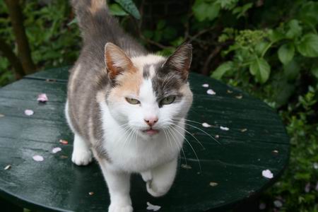 Resize of 20100509_9999_5