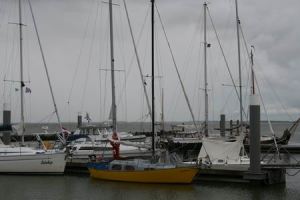 Resize of Schier 29 02092010