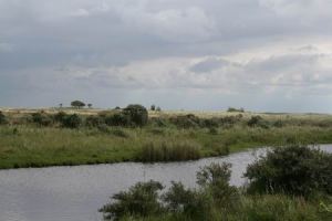 Resize of 20100901_9999_10