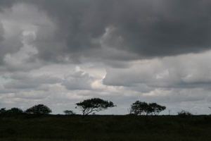 Resize of 20100901_9999_22