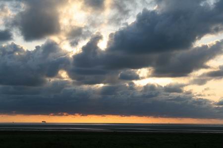 Resize of 20100901_9999_48