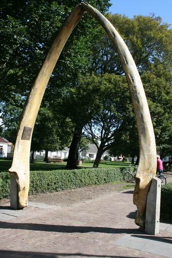 Resize of Schier 21 30082010