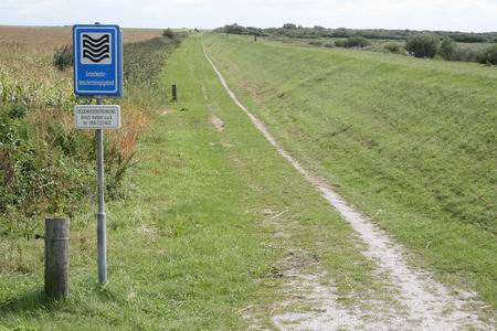 Resize of Schier 05 31082010