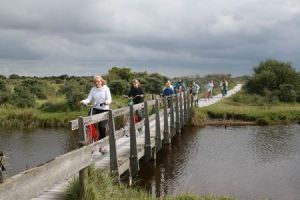 Resize of Schier 05 01092010