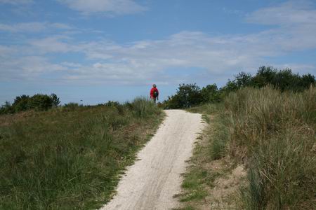 Resize of Schier 07 28082010