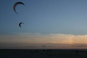 Resize of Schier 24 04092010