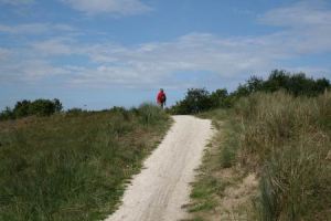 Resize of Schier 07 28082010