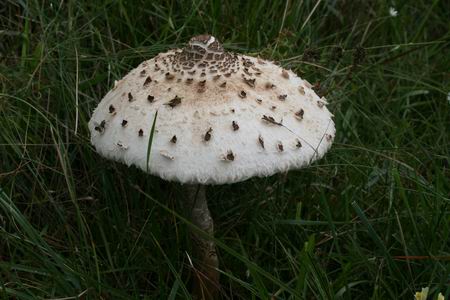 Resize of Schier 06 02092010