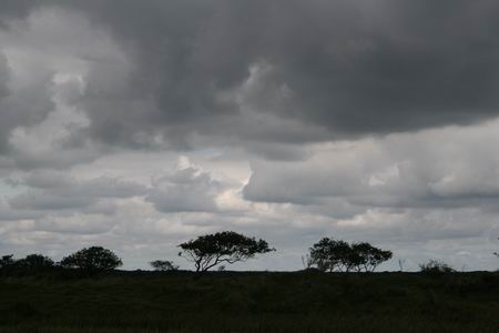 Resize of 20100901_9999_22