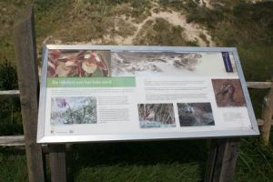 Resize of Schier 59 30082010