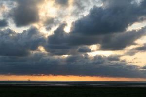 Resize of 20100901_9999_48