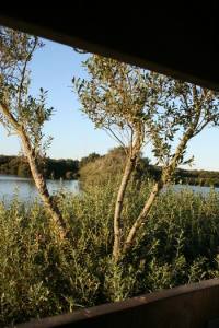 Resize of Schier 14 04092010