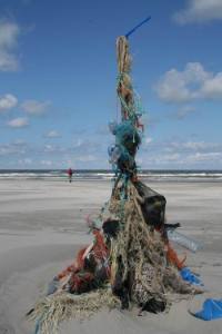 Resize of Schier 54 28082010