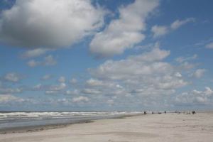 Resize of Schier 46 28082010