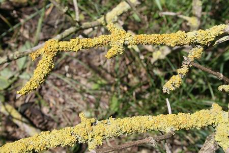 Resize of Schier 53 30082010