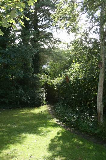 Resize of 20100827_9999