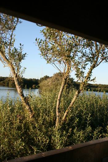 Resize of Schier 14 04092010