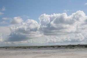 Resize of Schier 55 28082010