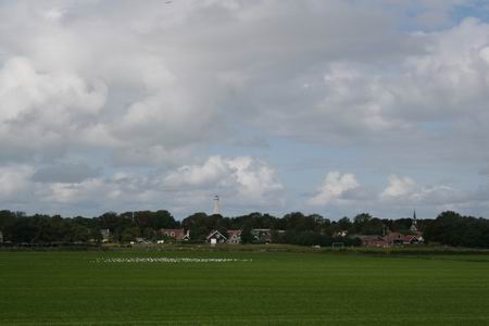 Resize of 20100831_9999_43