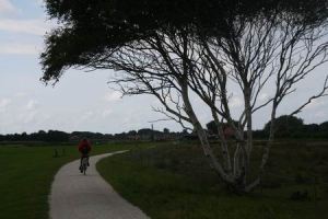 Resize of Schier 22 01092010