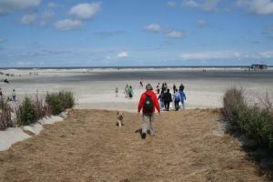 Resize of Schier 36 28082010