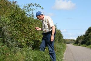 Resize of Schier 29 28082010