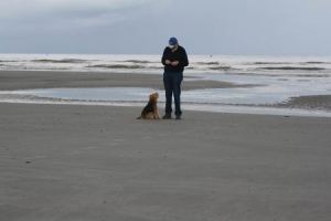 Resize of Schier 18 03092010