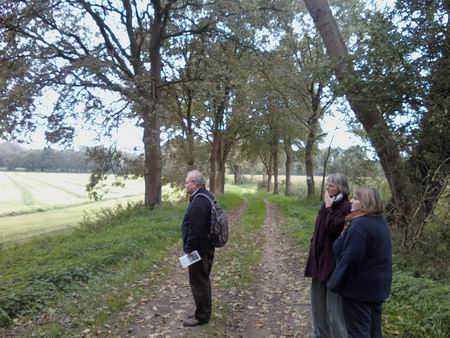 Resize of A.enG. 07 14102010