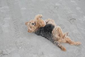 Resize of Schier 08 03092010