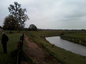 Resize of A.enG. 20 14102010