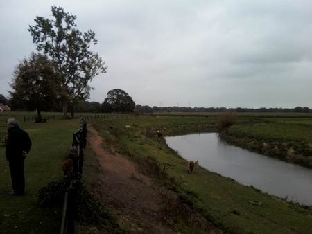 Resize of A.enG. 20 14102010