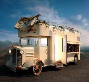 Resize of Library_Van_900 kunstenaar