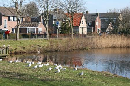 Resize of Texel Den Burg zicht op Keesomlaan 03 15022011