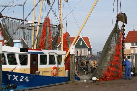 Resize of Texel Oudeschild 03 15022011