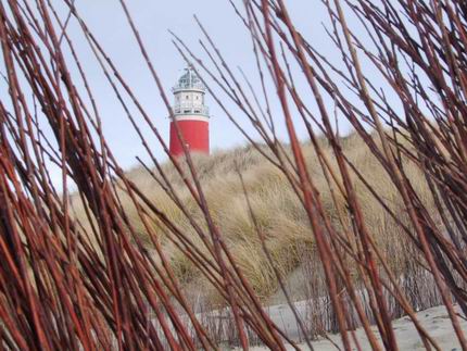 Resize of MvA Texel 05