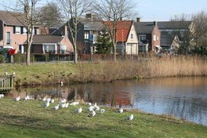 Resize of Texel Den Burg zicht op Keesomlaan 03 15022011