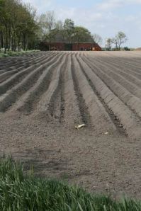 Resize of 20110502_9999_3