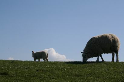 Resize of 20110502_9999_77