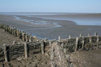 Resize of 20110502_9999_75