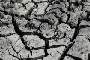 Resize of 20110502_9999_60