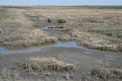 Resize of 20110502_9999_70