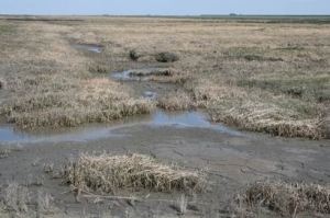 Resize of 20110502_9999_70