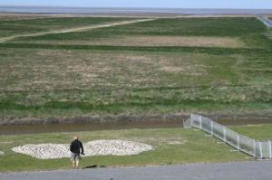 Resize of 20110502_9999_57