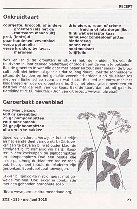 2013-05-20 13-56-54_2313 verkl