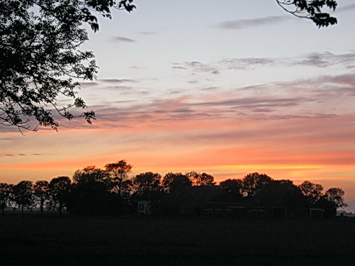 De boerderij van de familie Vermuë, omzoomd door bomen en heesters. En door de ondergaande zon.....