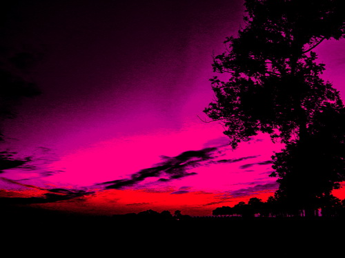 IMG_3173 bew03 verkl